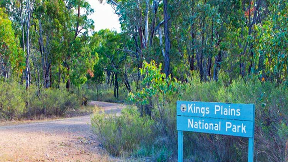 Kings Plains National Park