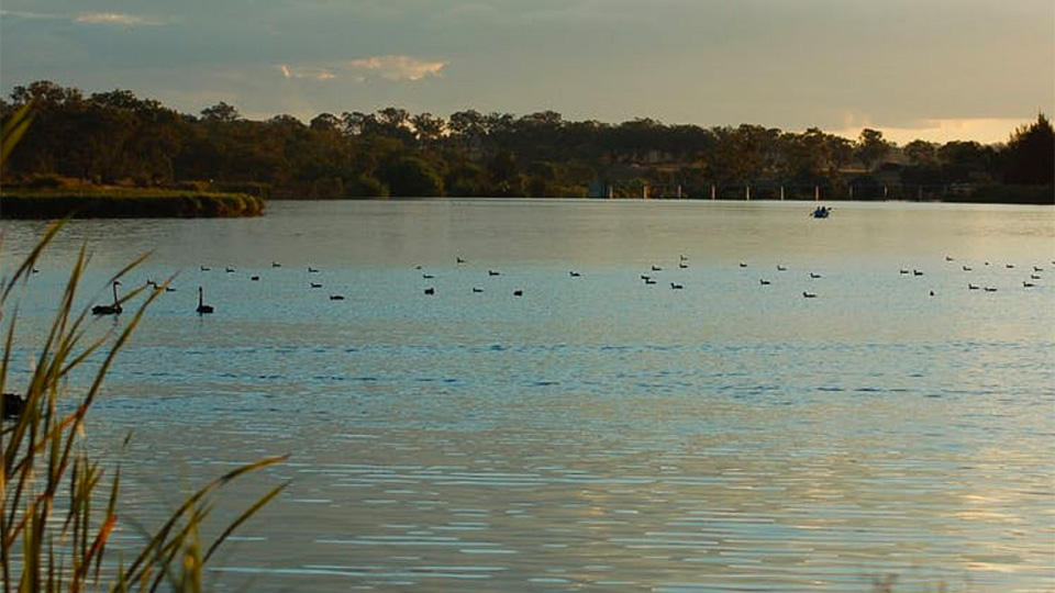 Lake Inverell Reserve